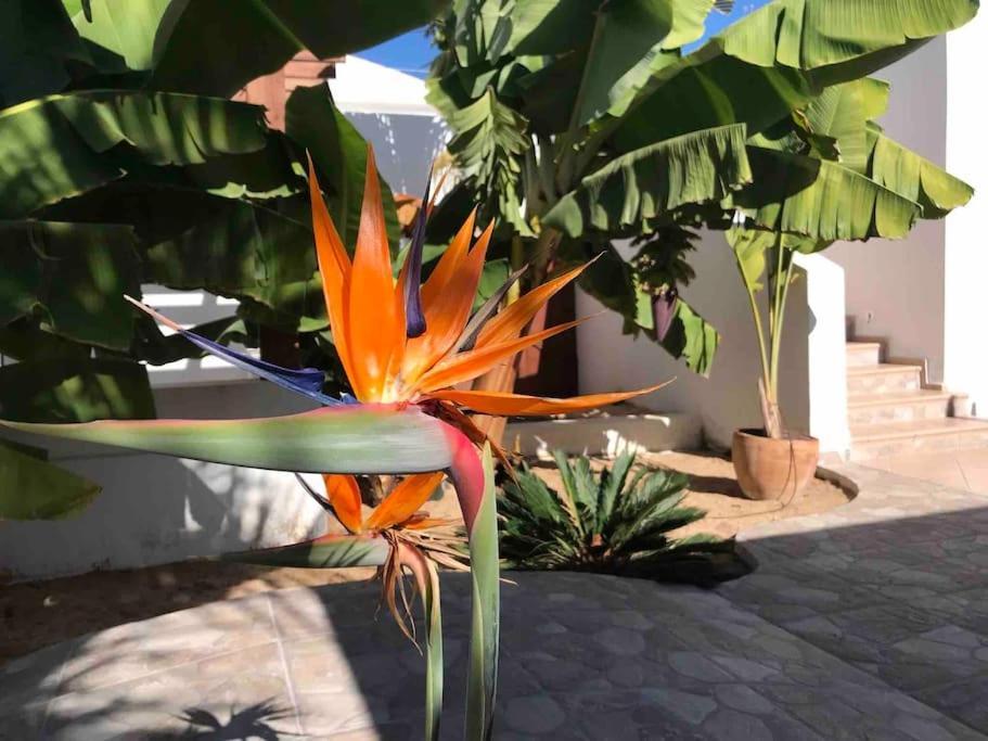 Gezellige Villa Met Prachtig Zicht En Zwembad Arona  Luaran gambar